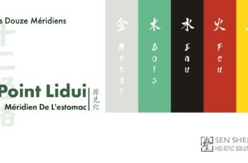 cover of Lidui