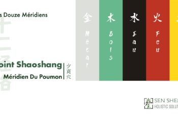 cover of ShaoShang