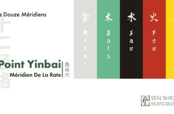 cover of Yinbai